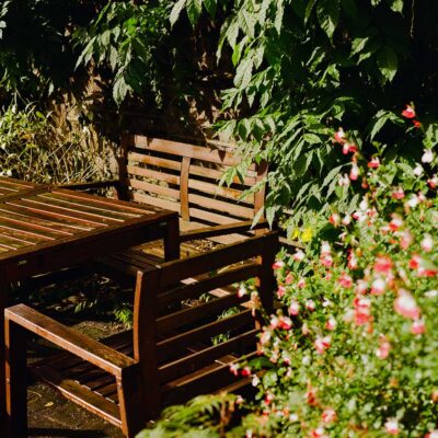 TLP-meade-mews-garden-and-bench